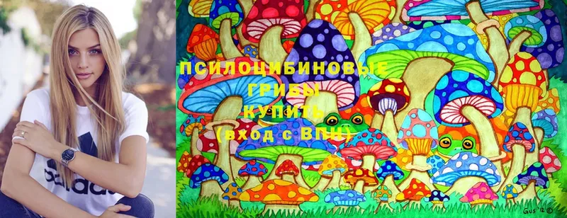 Псилоцибиновые грибы MAGIC MUSHROOMS  даркнет наркотические препараты  Североуральск 